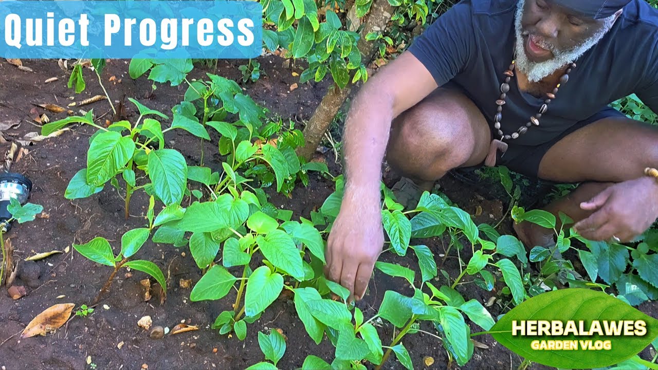 GROWTH HAPPENS QUIETLY