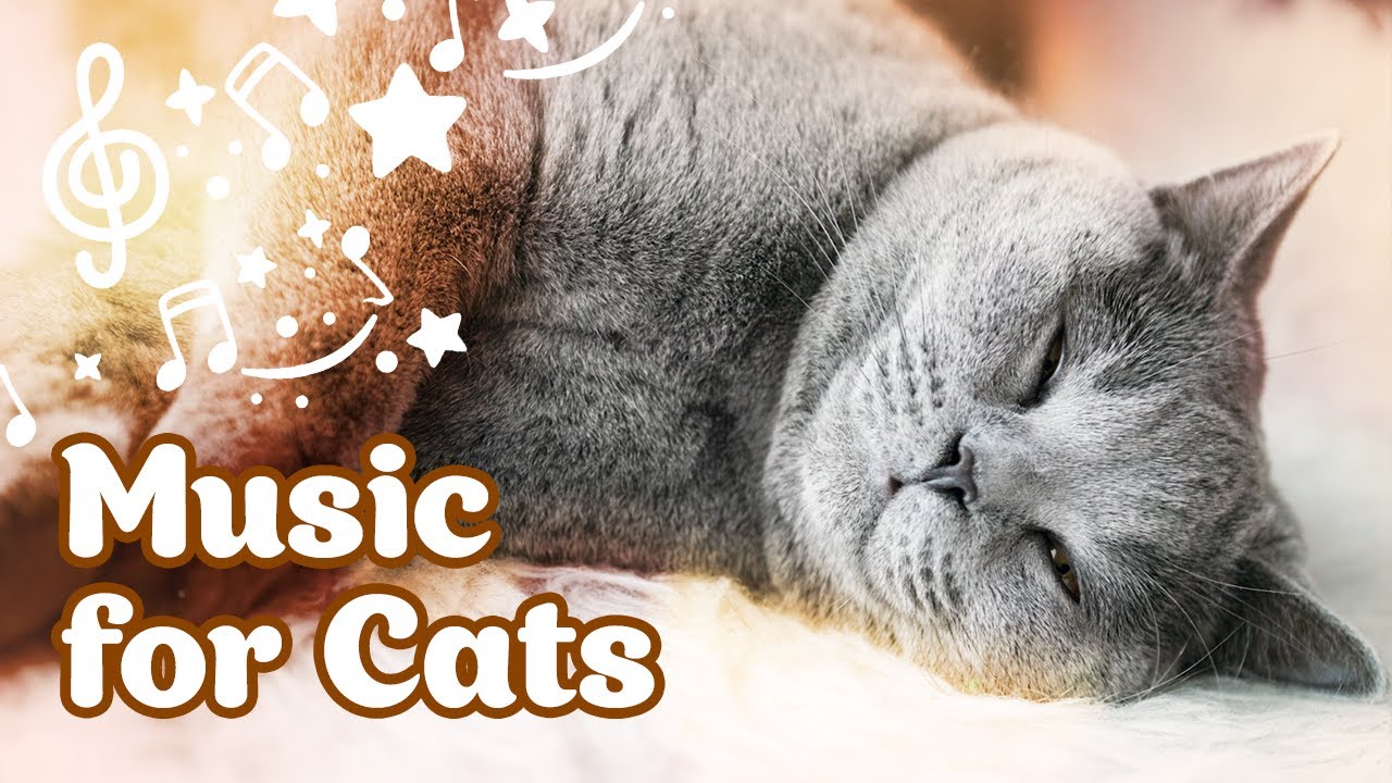 ❄️ Cozy Winter Music & Stress Relief 😽 ♬ Piano Music for Restless Cats