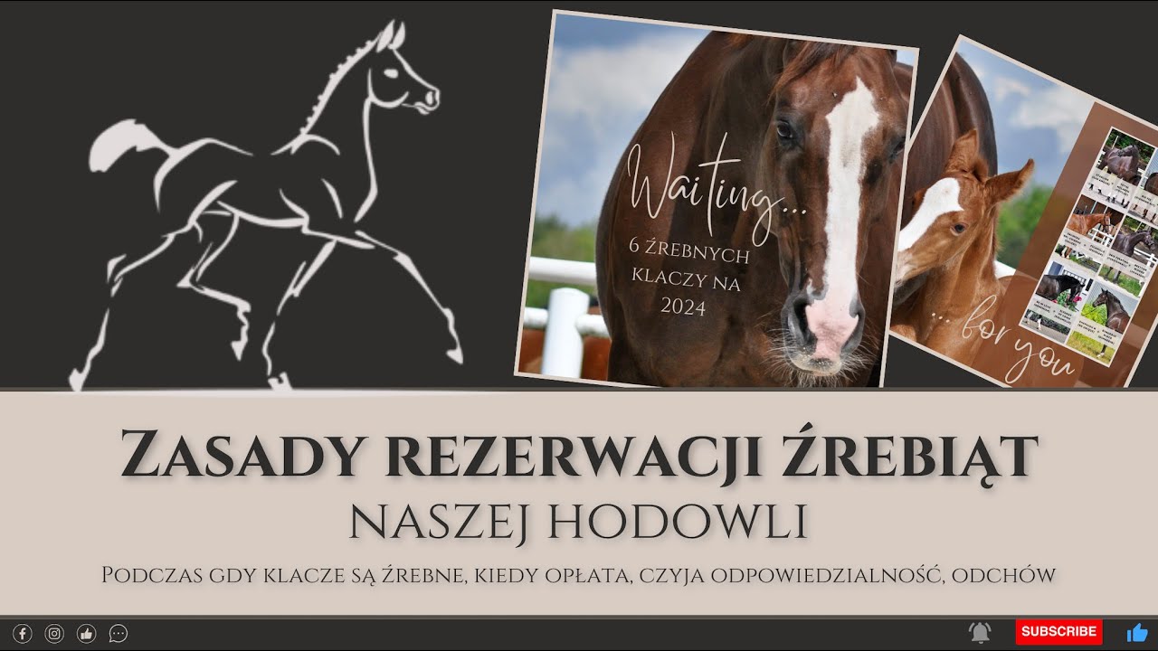 Zasady rezerwacji źrebiąt naszej hodowli