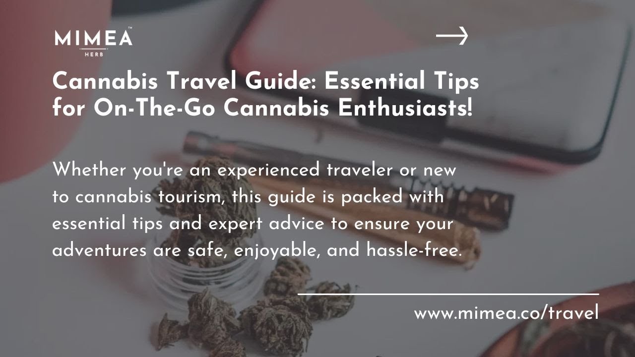 Cannabis Travel Guide: Essential Tips for On-The-Go Cannabis Enthusiasts!