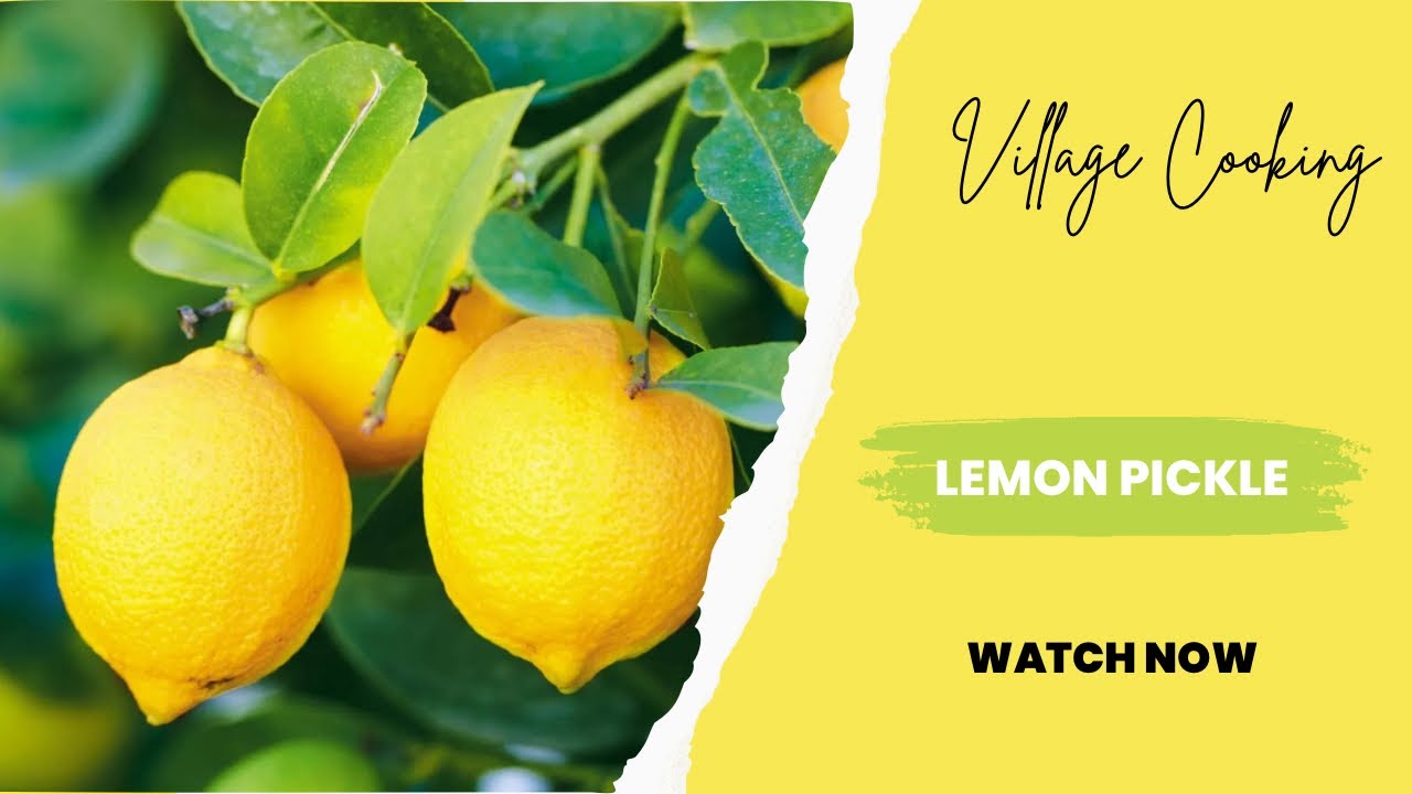 From Tree to Table : Lemon pickle |  The Most Different Pickle