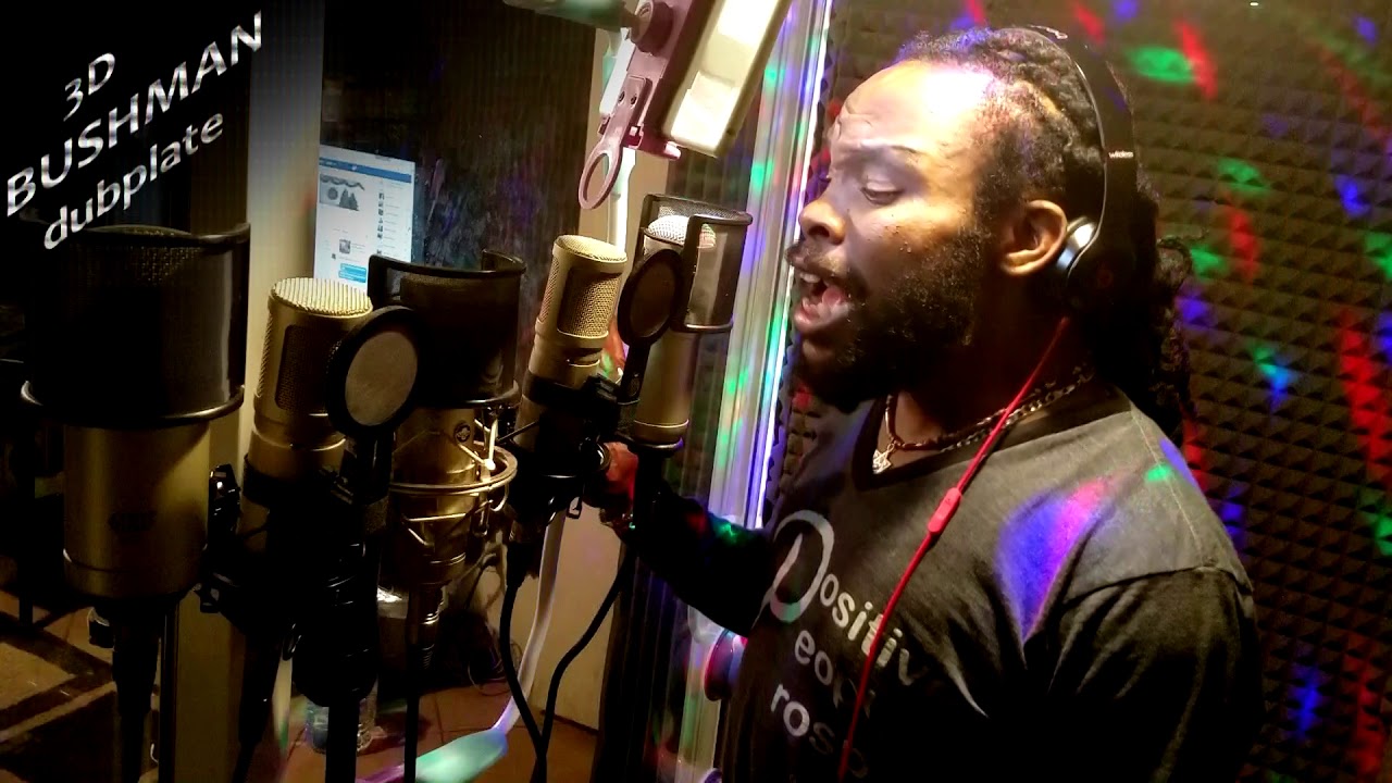 BUSHMAN dubplate {Selecta 3D} @ dainjamentalz u$a 4