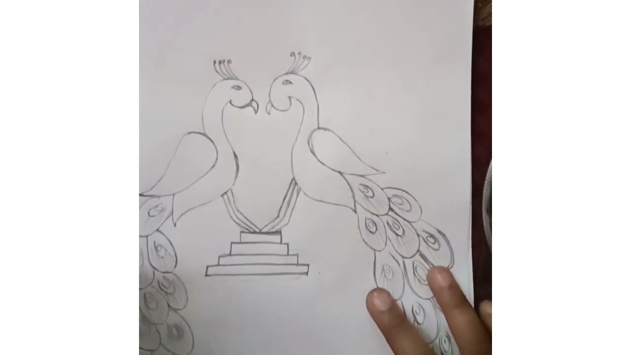 Peacock drawing very simple Inaya Artists