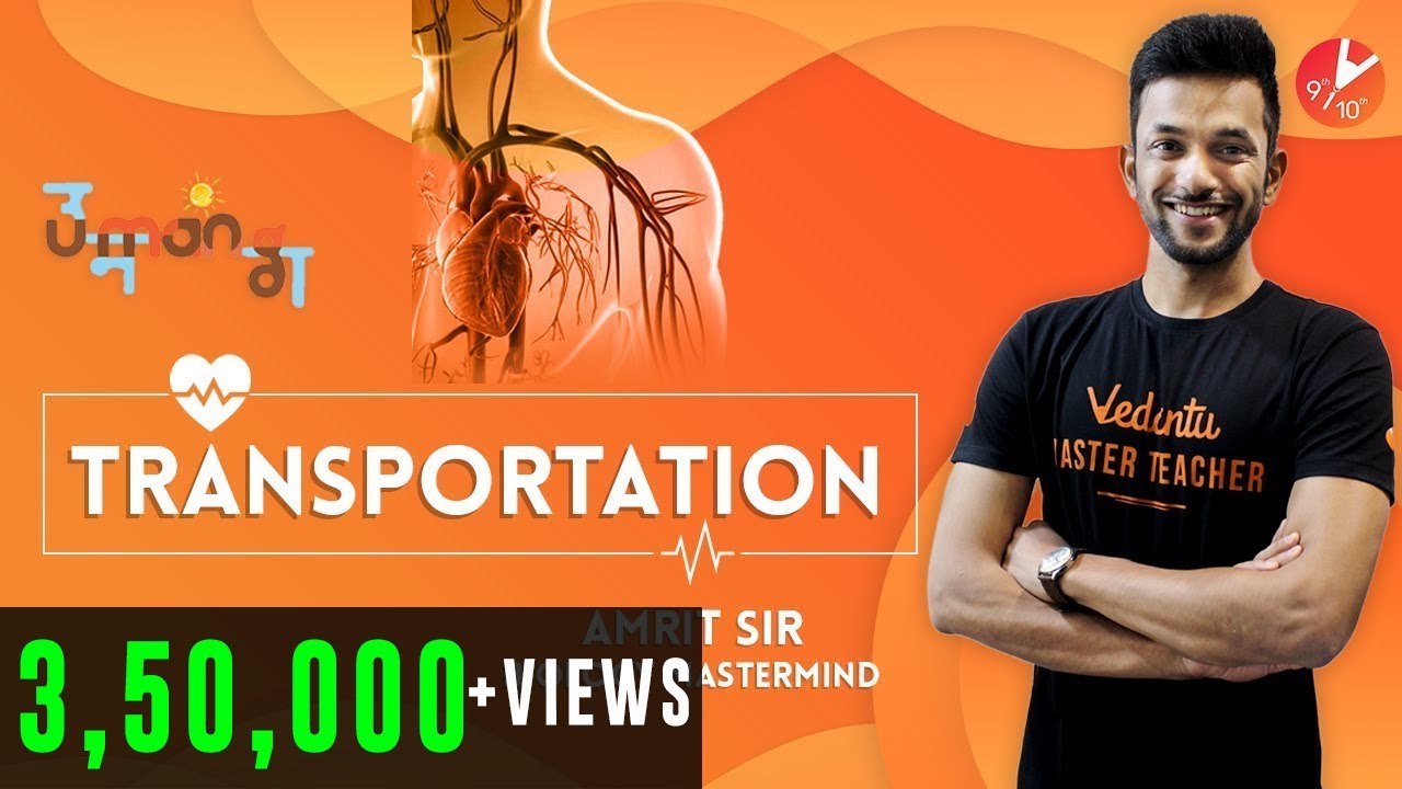 Transportation - 2 | Class 10 Biology | Science Chapter 6 | CBSE Concepts & NCERT Questions