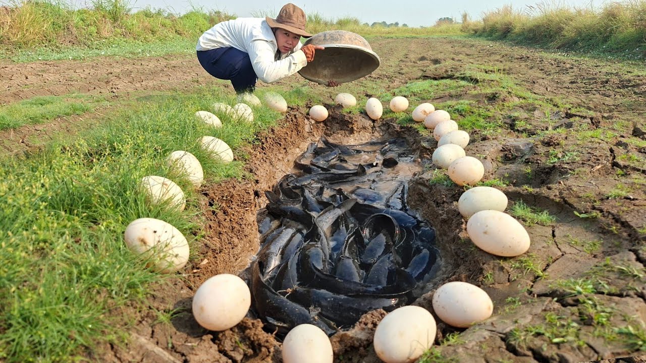 Wow, that's amazing. A woman caught a lot of fish and picked up eggs in a cage in the grass.