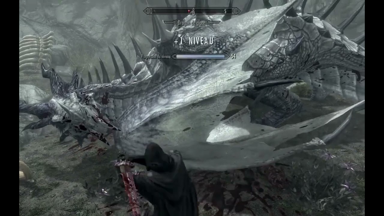 "Average Skyrim Gameplay........"