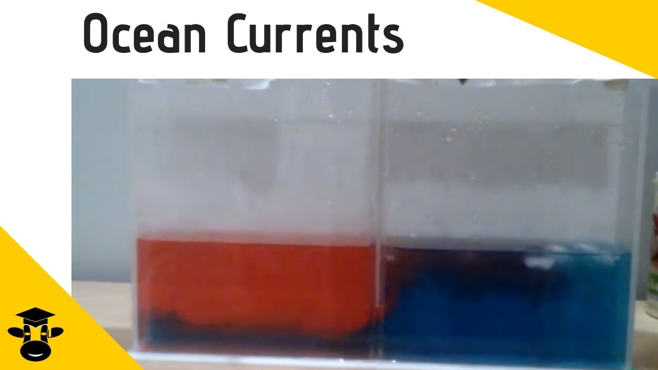 How changes in temperature create ocean currents ( Ocean Stratification Demonstration)