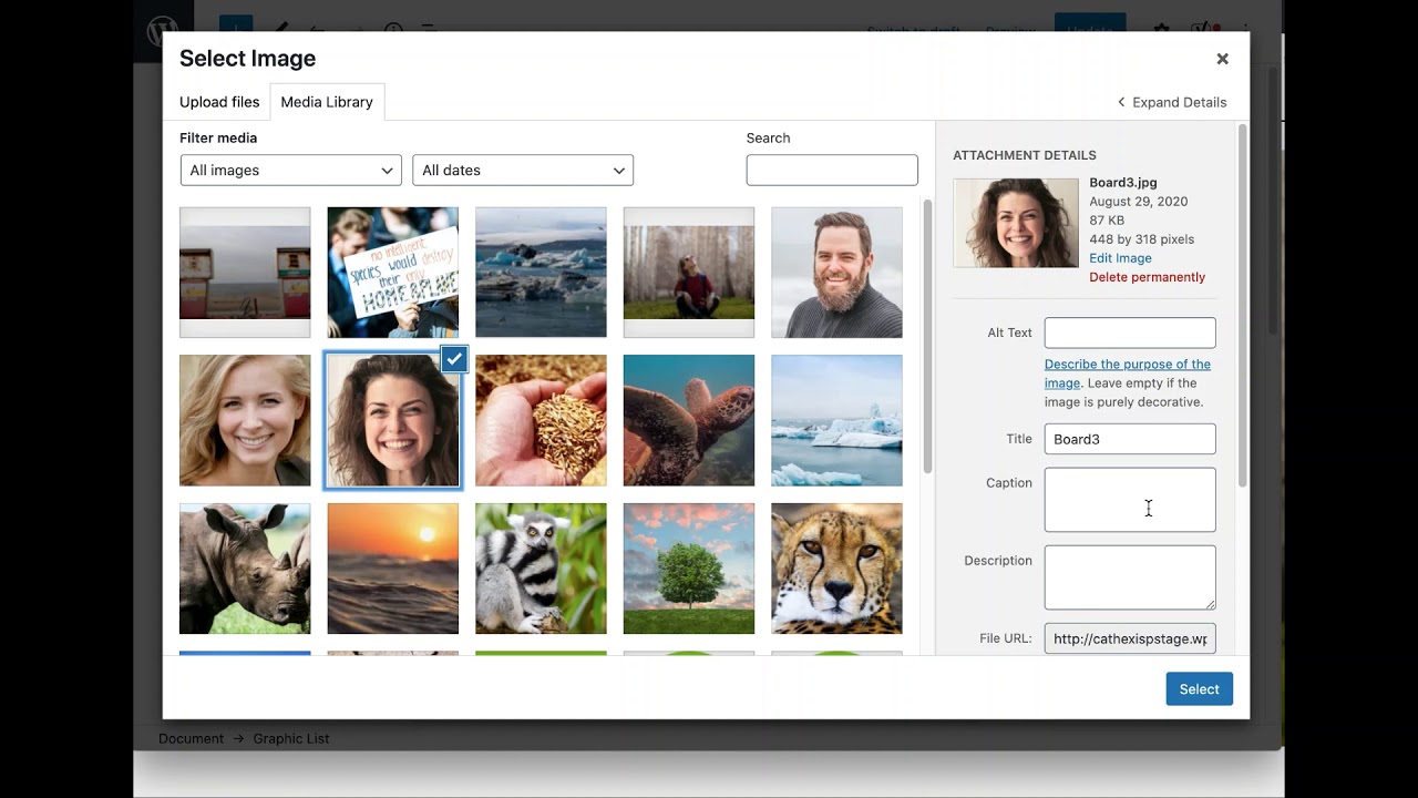 How to edit content using Gutenberg in WordPress