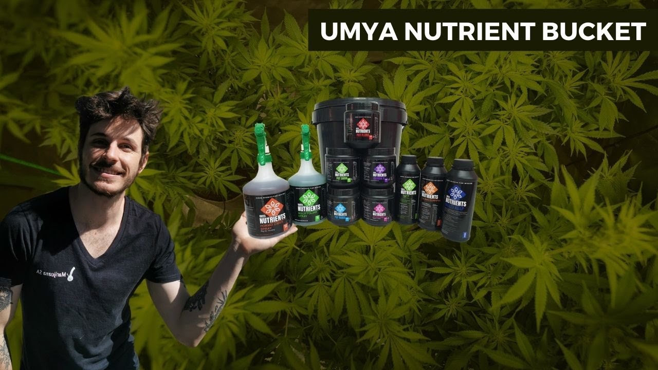 Cannabis Nutrient Value Bucket Unboxing Umya Nutrients