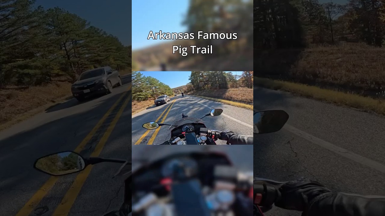 Arkansas famous pig trail 