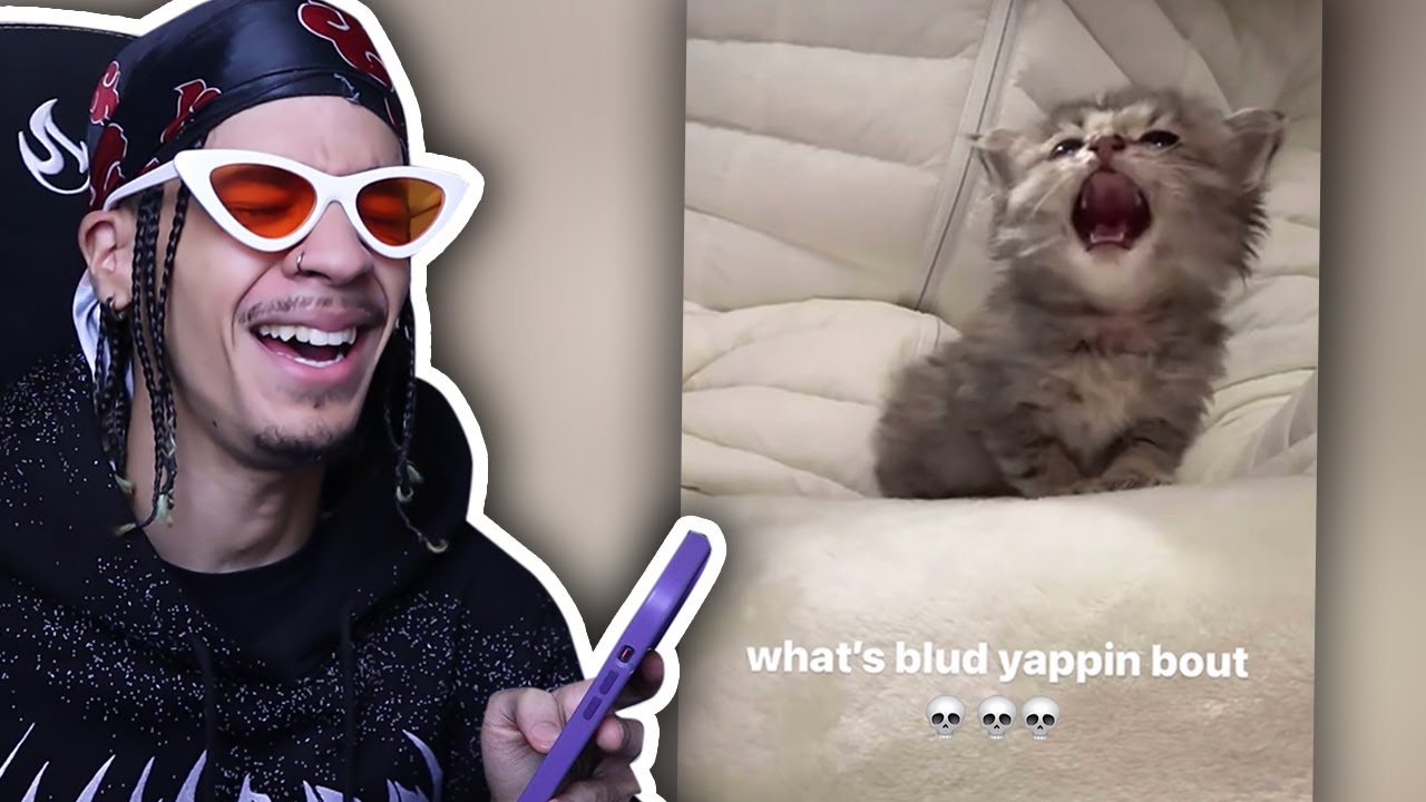 Can My Instagram FYP Make Me Laugh?... #12