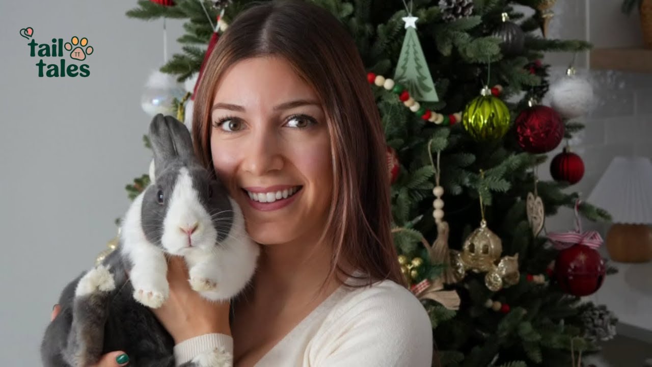 Chester 🐰 The “Too Much Trouble” Rabbit Who Changed Everything ❤️