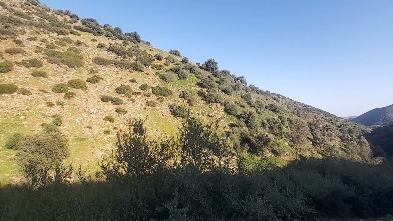 جماعه زومي  إقليم وزان  ترحب بكم