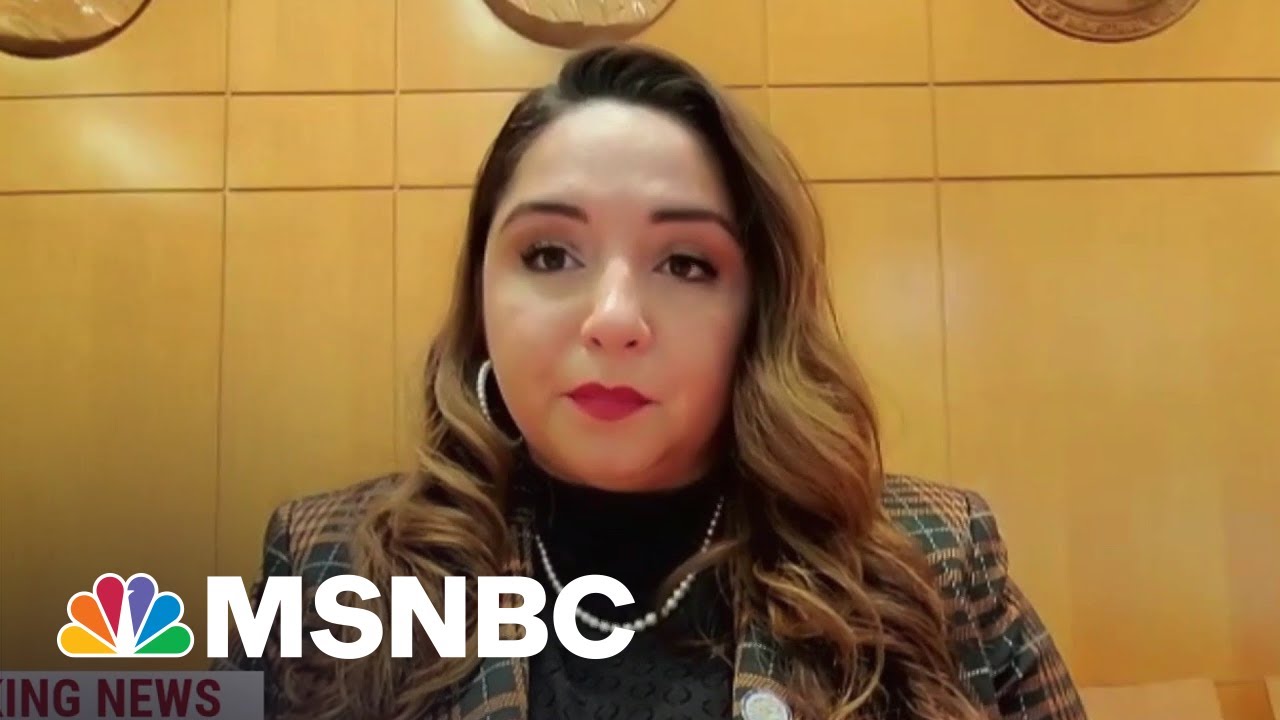'For Me, It’s Personal’: Rep-Elect Delia Ramirez Of Illinois Discusses Progressive Agenda
