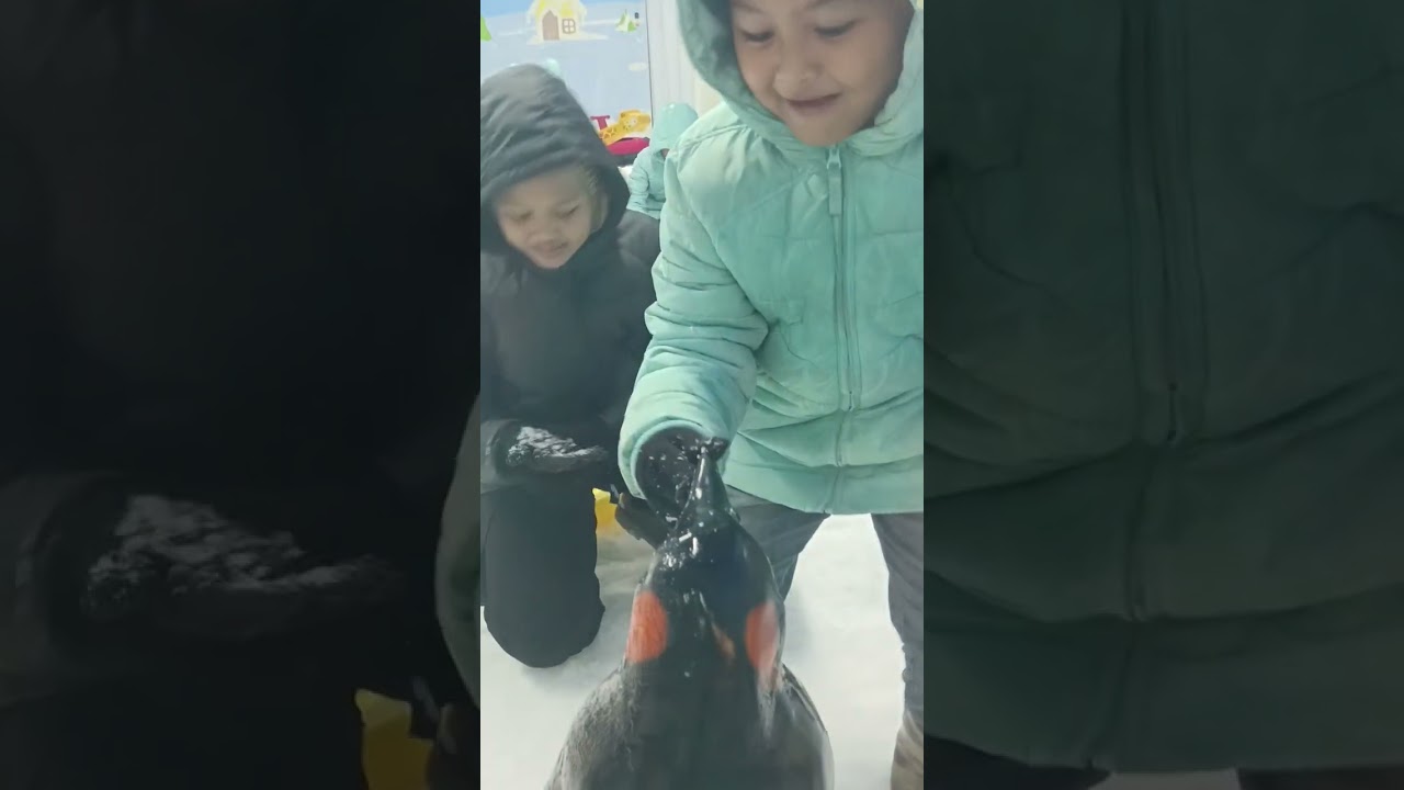 Saatnya bermain 