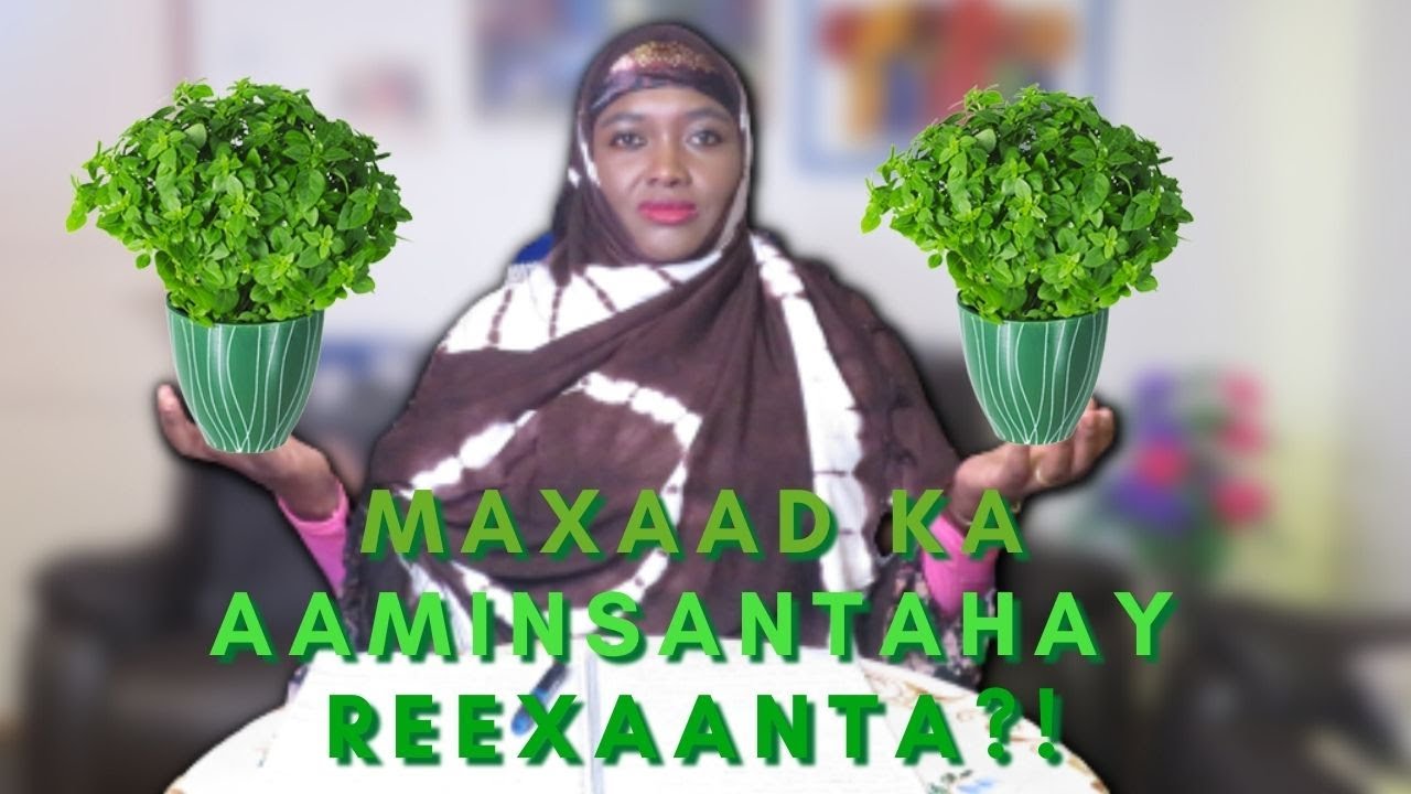 RUUX WALBOOW OGOOW REEXAANTA WAA RIZAQ RASMI AH?!