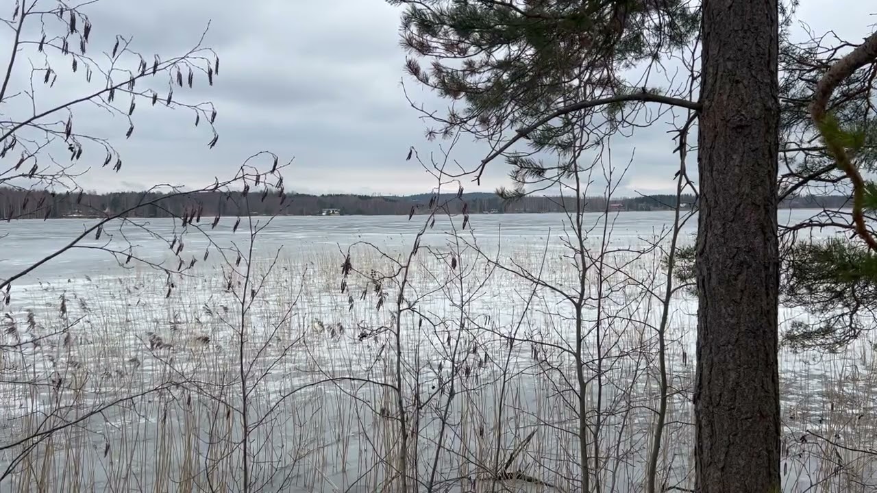 Voimavarat henkisell&auml; tiell&auml;