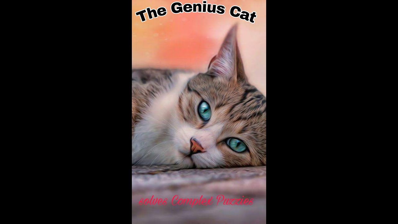 How This Genius Cat Solve Complex Puzzies.