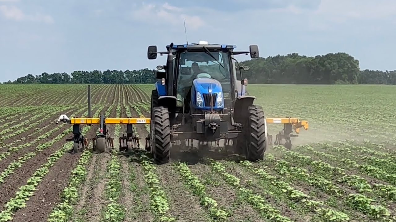 😱Зняв все як є‼️дивіться‼️таке в нас вперше🥲🚜нюхоланд60/70 на🌻💙💛