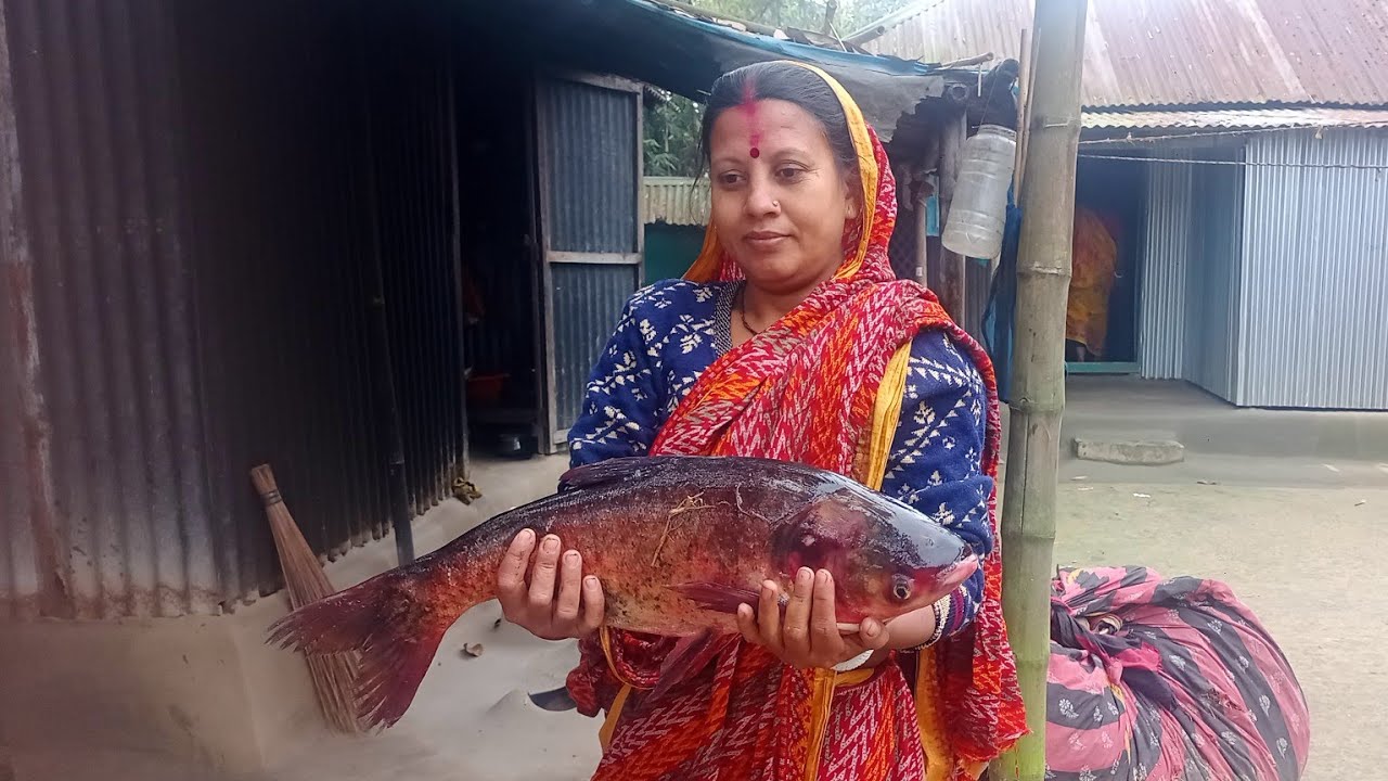 এত বড় মাছ দিয়ে এই রান্না আগে করিনি😱।।country life vlog,cooking in nature#villagecooking। 