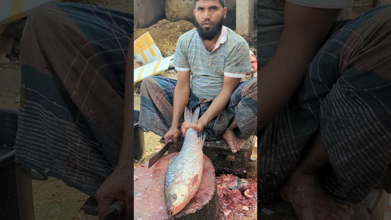 Giant Rohu Fish Cutting Skills in Fish Market 😱😱 || 