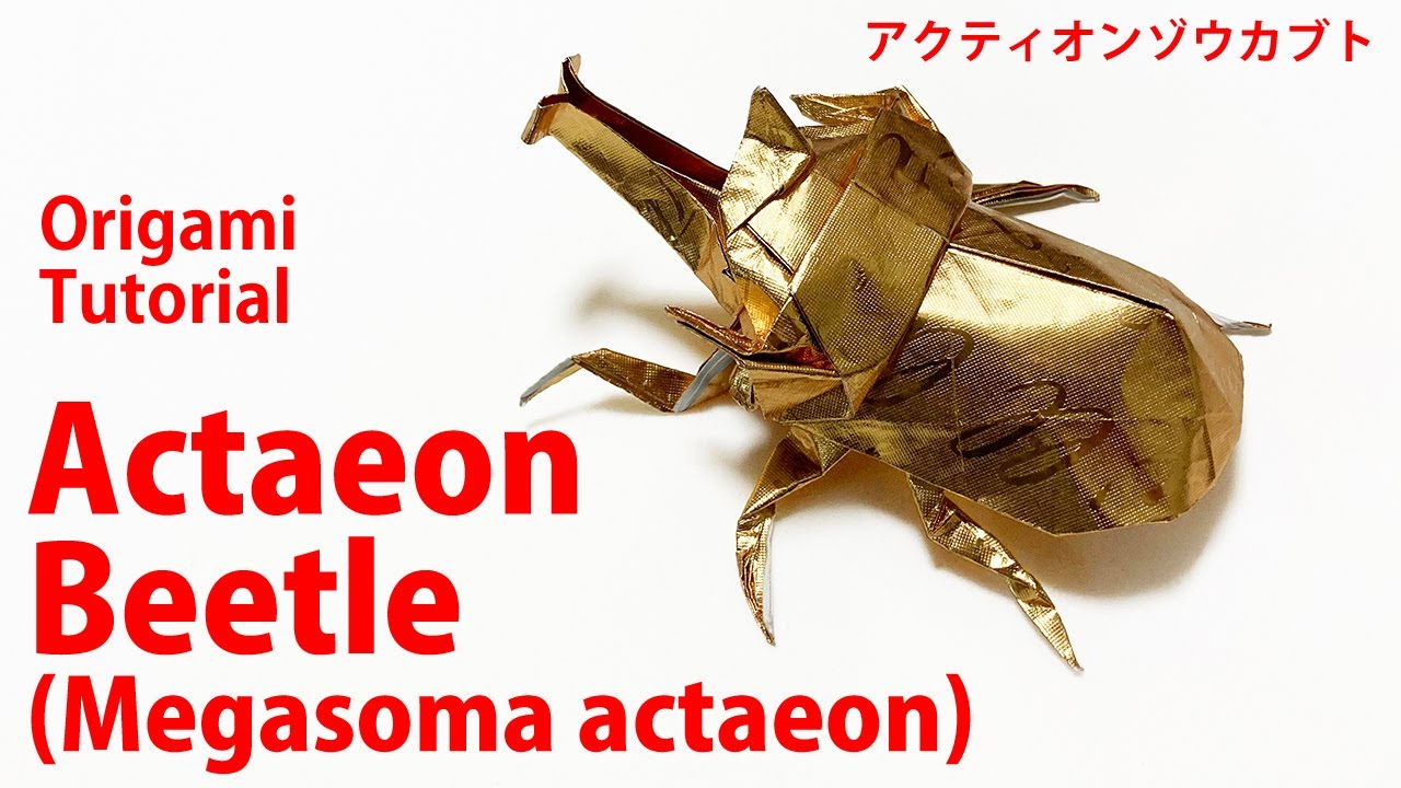 Actaeon beetle アクティオンゾウカブトMegasoma- Rhinoceros Beetle  origami 折り紙insect　折纸 摺紙 พับ 종이접기　Papiroflexia