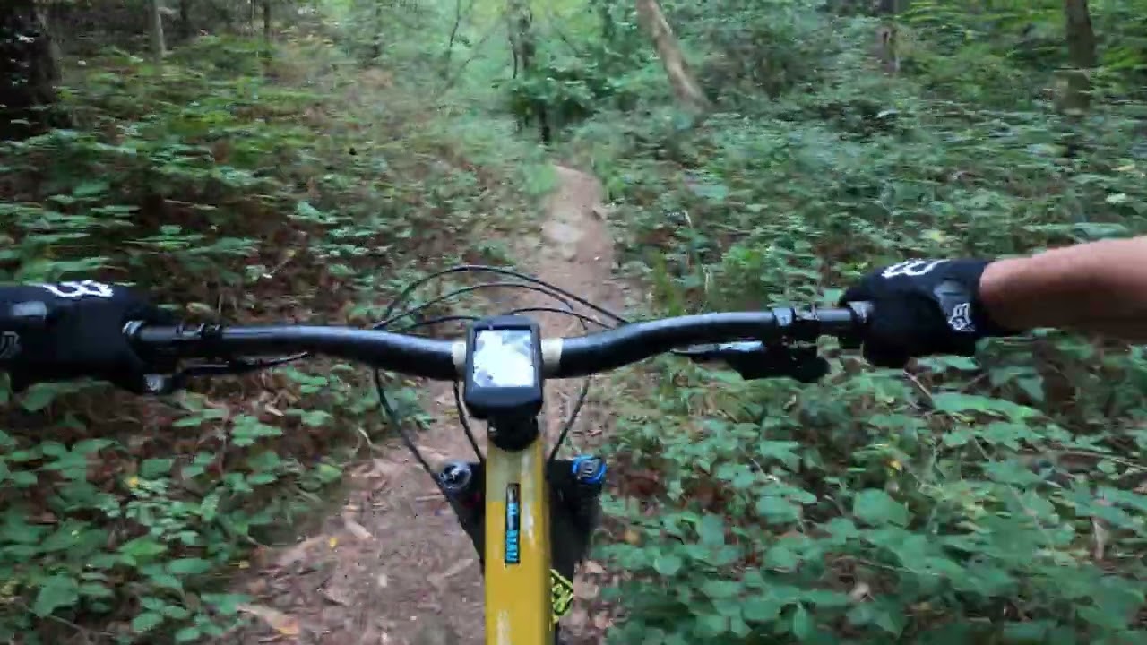 MTB ENDURO - Parole d’Oro - Lucca