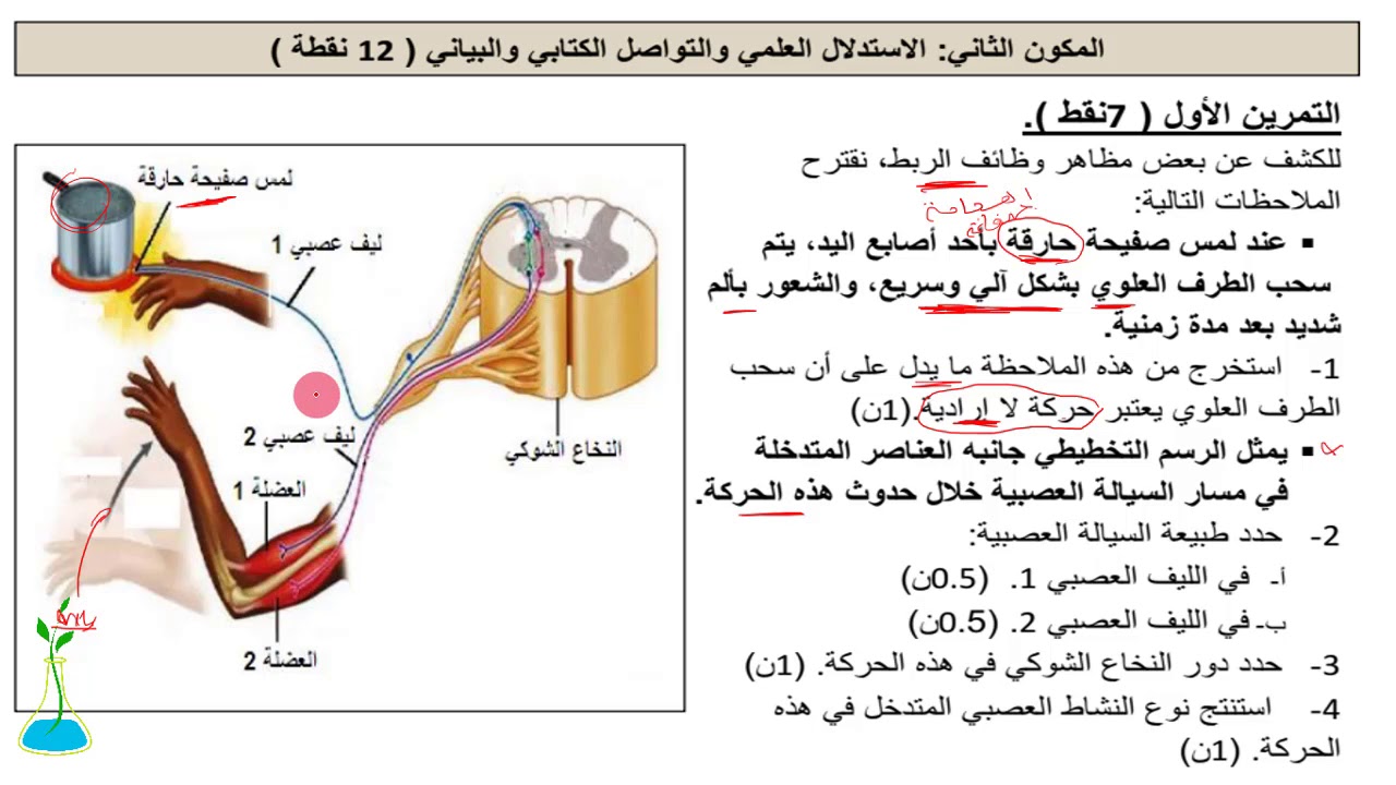 تصحيح امتحان جهوي | علوم الحياة والارض - الثالثة اعدادي