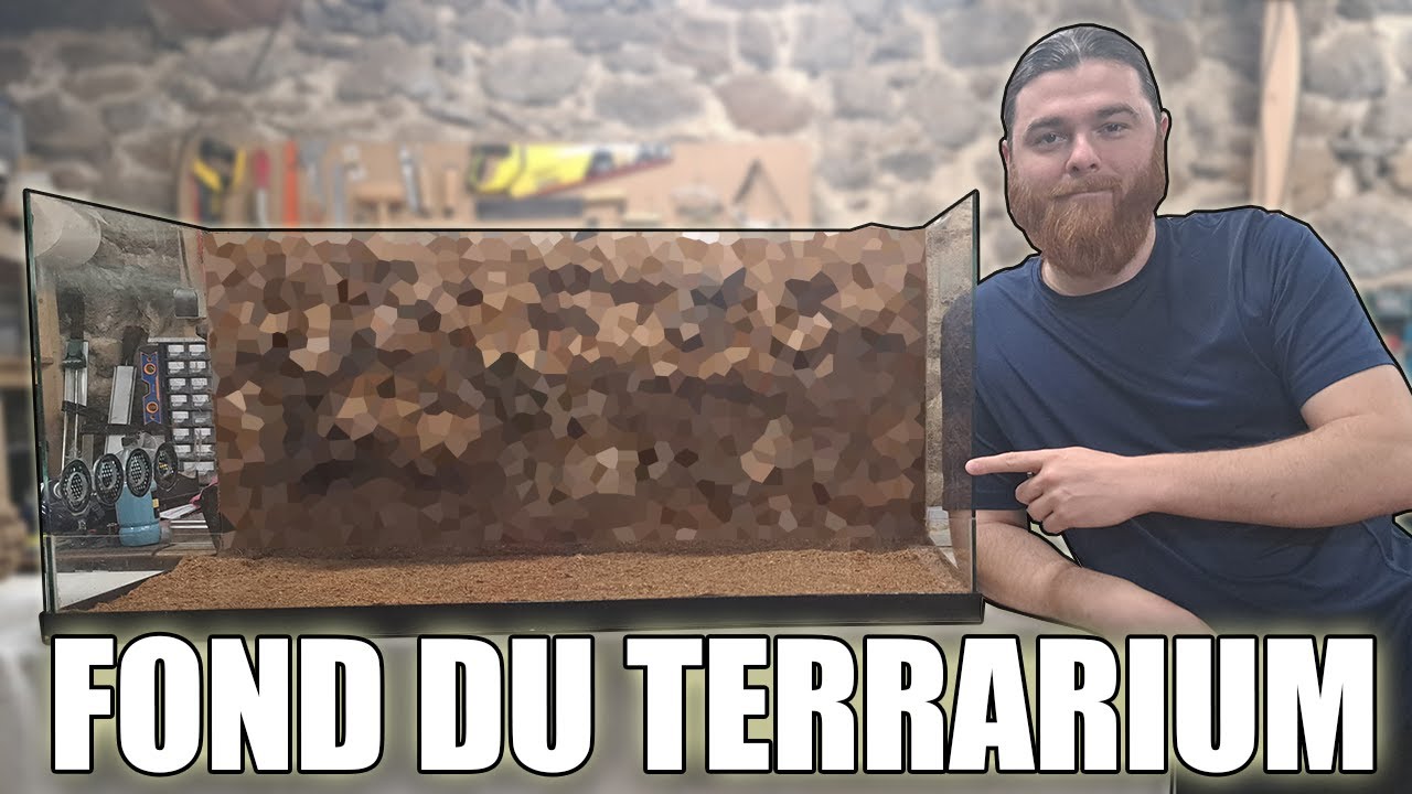 Fond pour Terrarium BioActif DIY !!