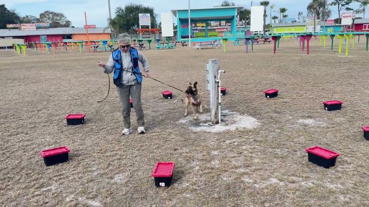 CENTER SOURCE OVERRIDE