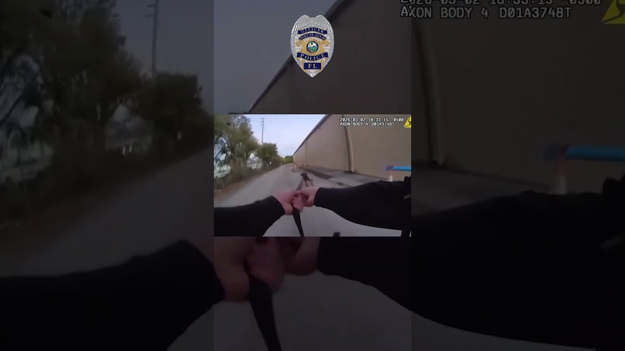 Watch moment missing child with autism is rescued by K-9 unit #shorts