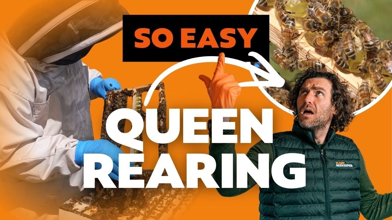 How To Rear Queen Bees, A Complete Guide To Raising High Quality Mated Queen Bees