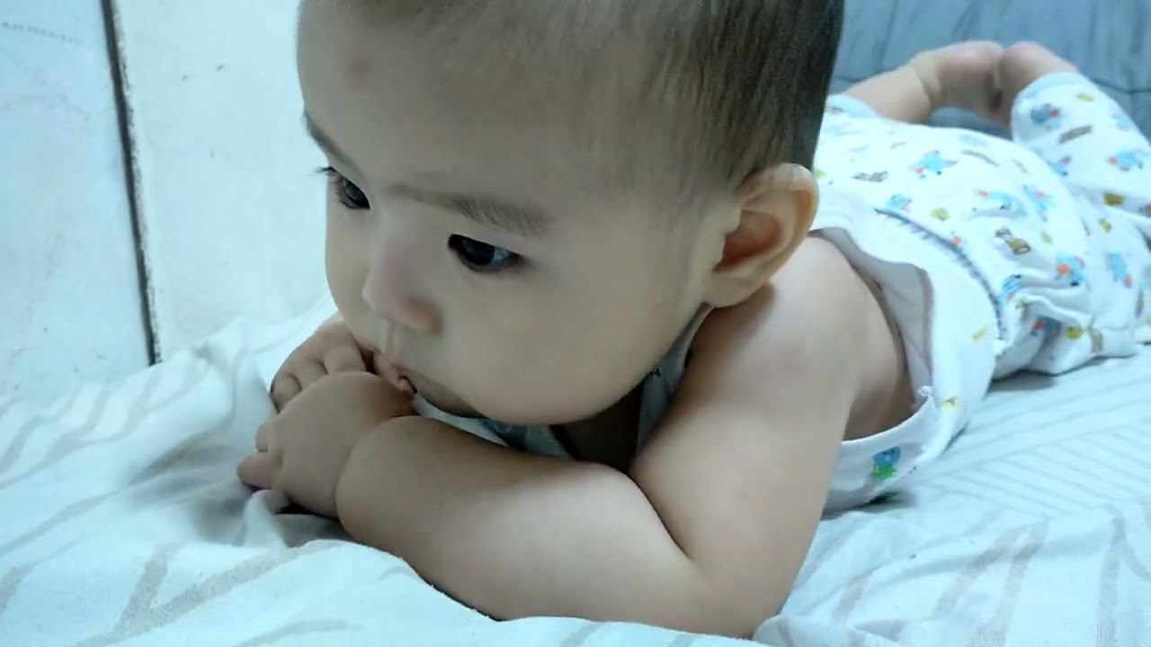 Monkey on the bed