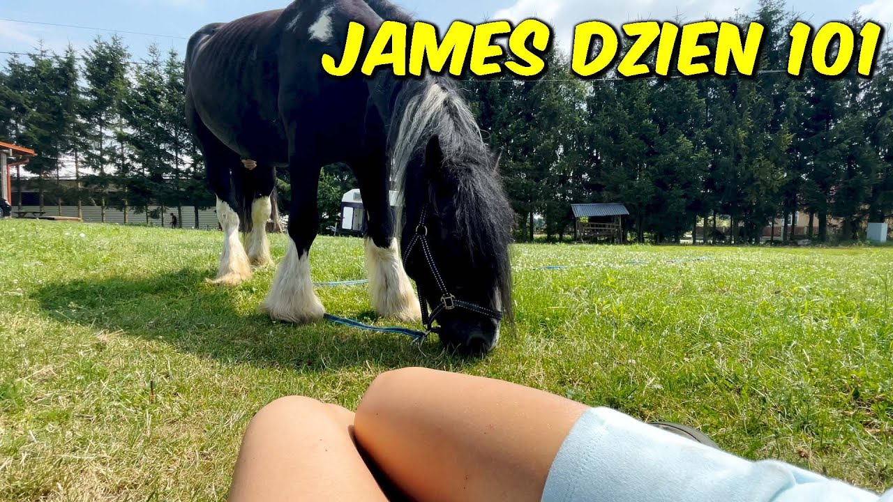 Siodło kulbaka, nowa lizawka i smaczki dla konia - Wiola i James dzien 101