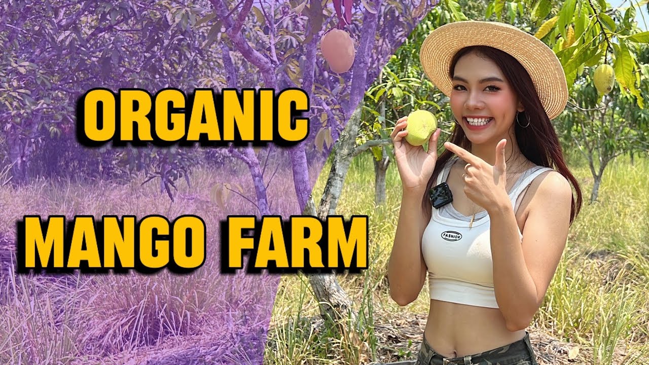 Известная актриса Мьянмы в Mango Business. (Бирма)