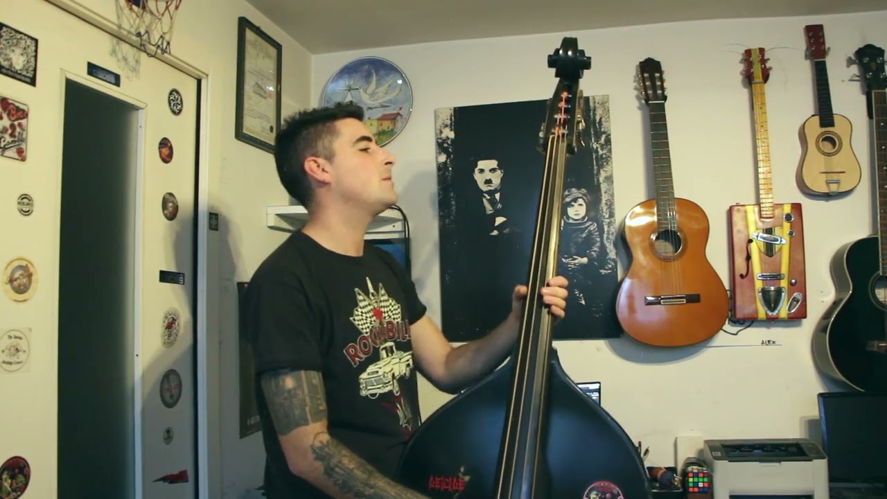 Frantic Flintstones - Hits From The Bong (Bass Cover)