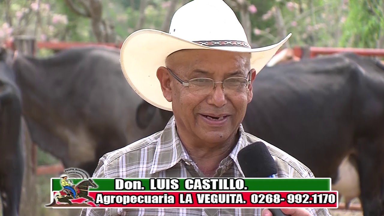 Programa Ganaderia Doble Proposito en Churuguara