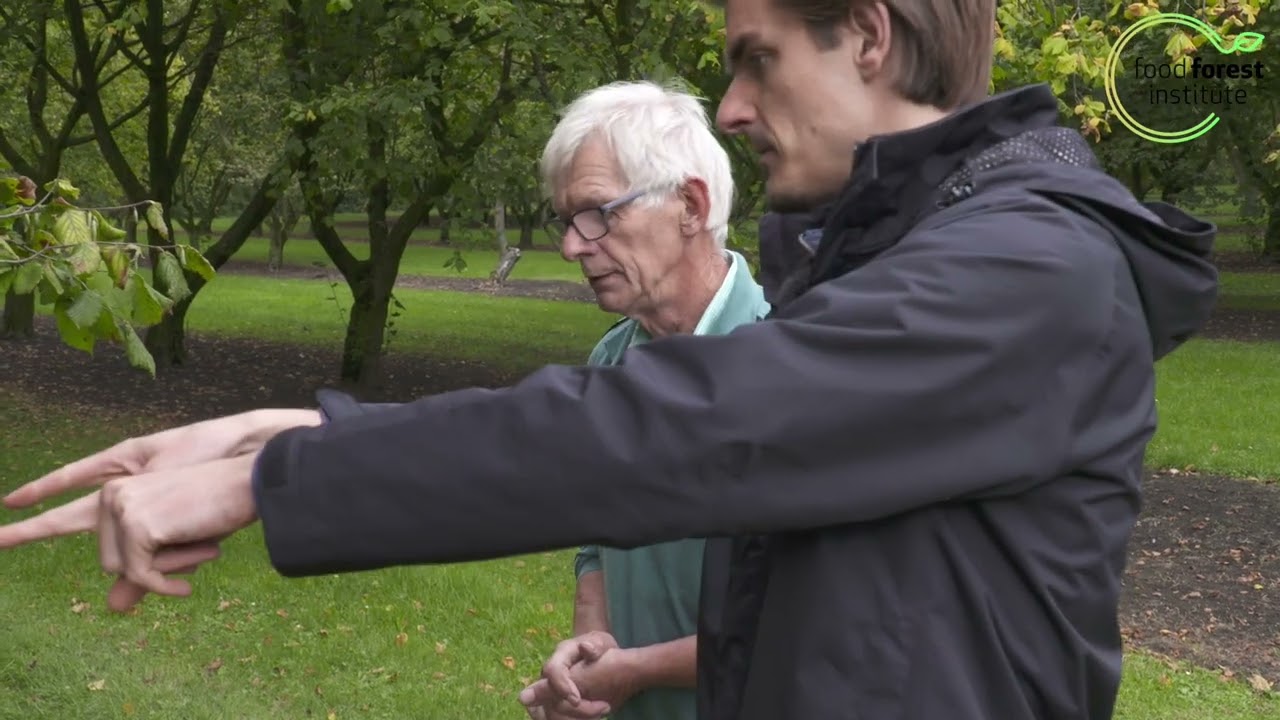 🌳 Over de oogst van hazelnoten 🌰 't Joostenhuus | Louis De Jaeger