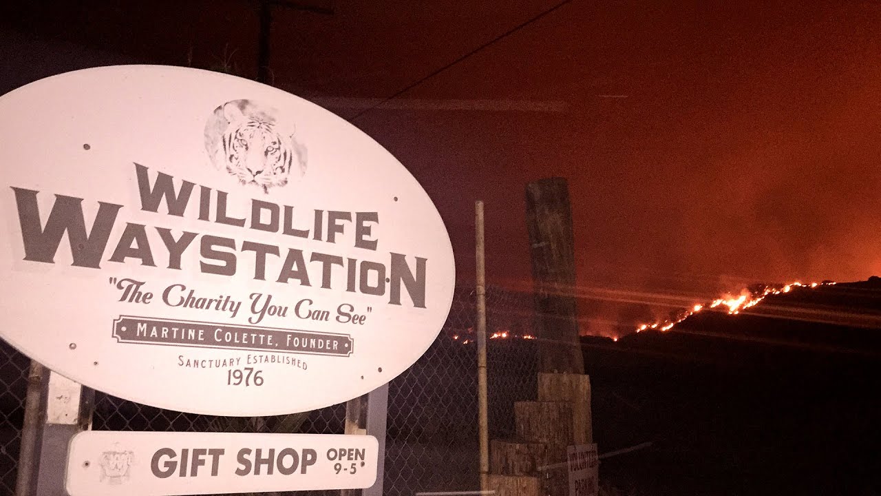 Wildlife Waystation Sand Fire Evacuation Little Tujunga California VLOG