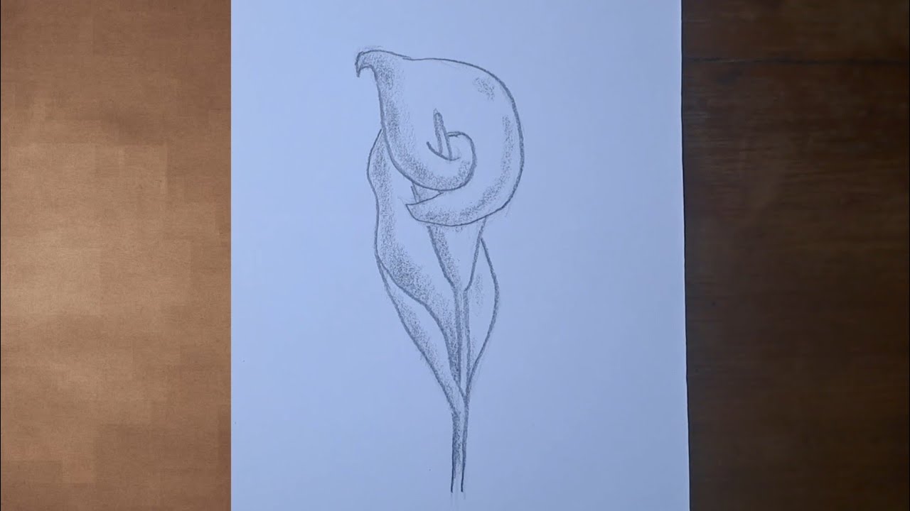 Cómo dibujar una Cala de forma sencilla