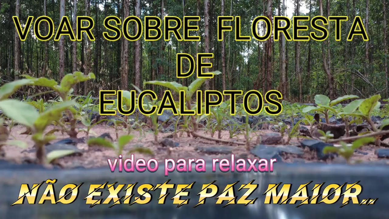 Fugindo do caos da cidade.(vou te mostrar meu refúgio secreto)relaxa e curta