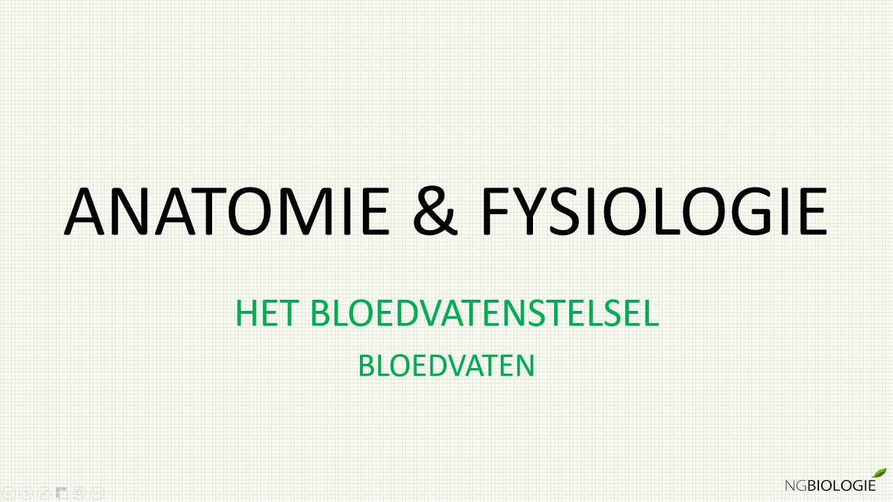 Bloedvaten