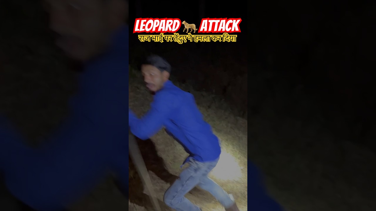 Leopard 🐆 Attack in deep forest camping 🏕️ 