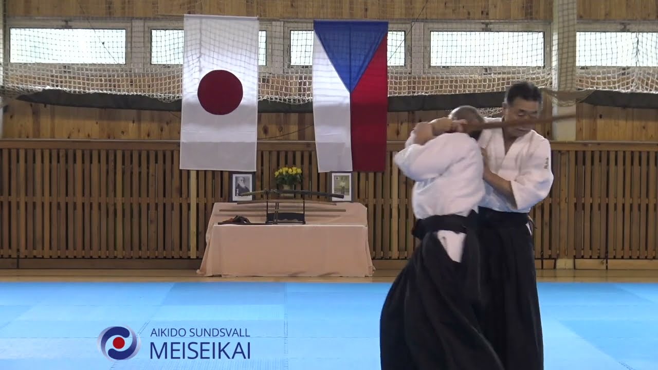 Aikido Tachidori Iriminage Omote Shishiya Sensei, Horice 2016