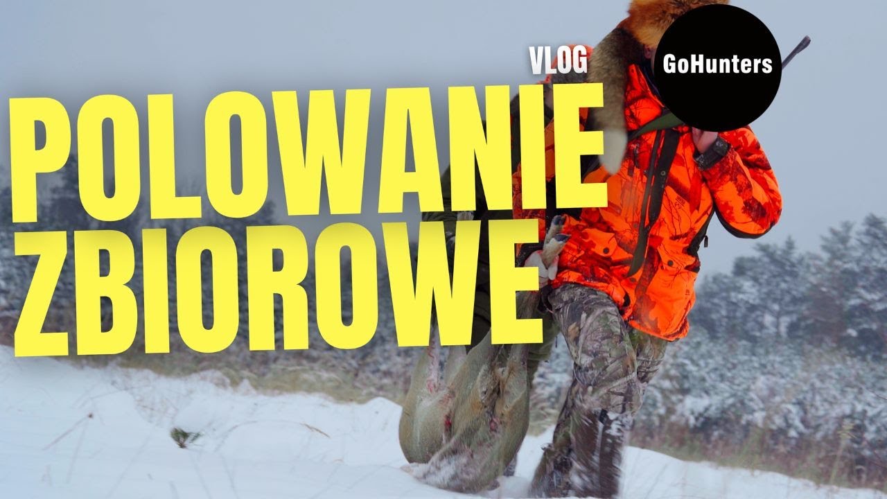 Polowanie ZBIOROWE na dziki i jelenie. Driven hunt | GoHunters