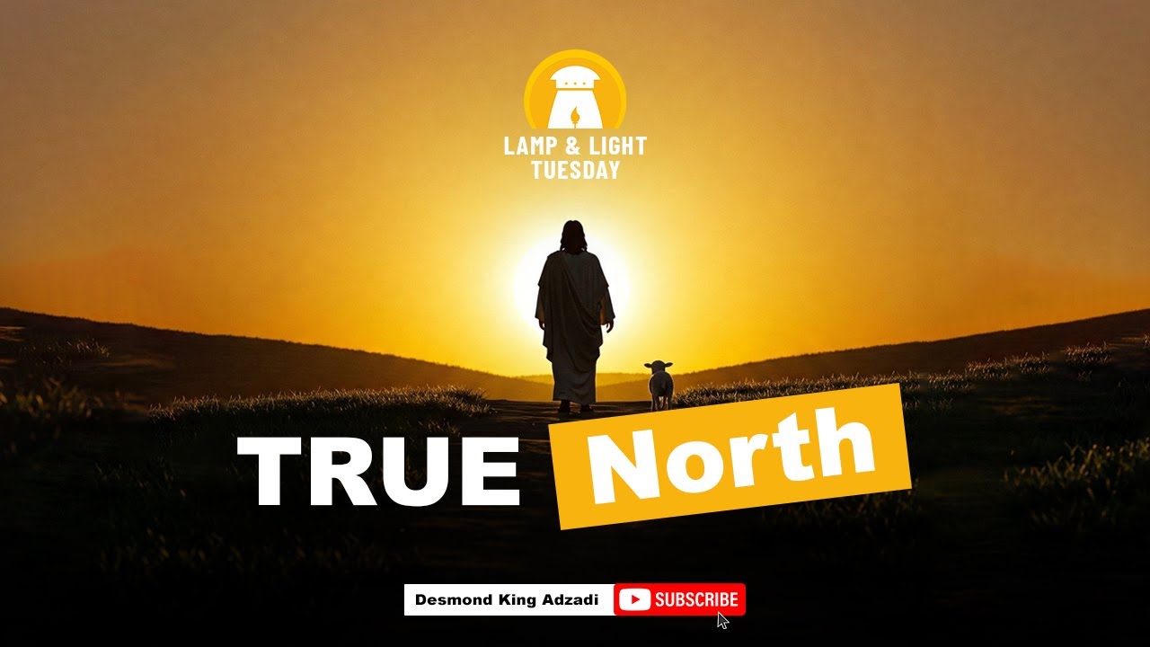 TRUE NORTH  - LAMP & LIGHT TUESDAY