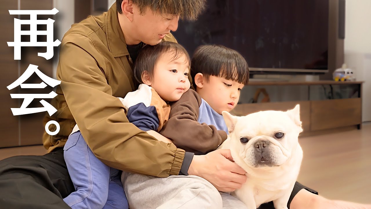 帰宅したパパを必死で取り合う愛犬と兄弟が可愛すぎました…