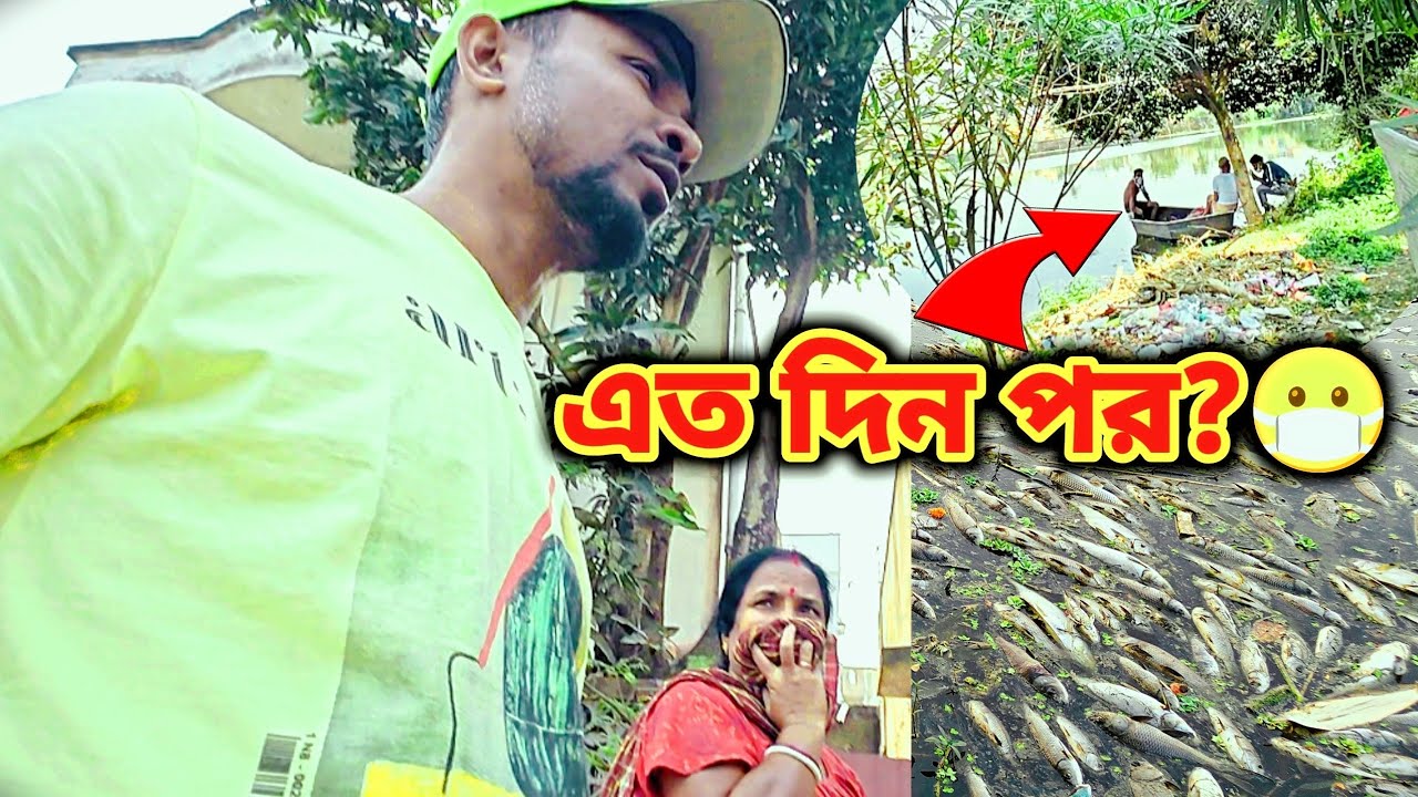 শেষ মেষ পচা মাছ তুলতে এলো 🤧 | daily vlog 