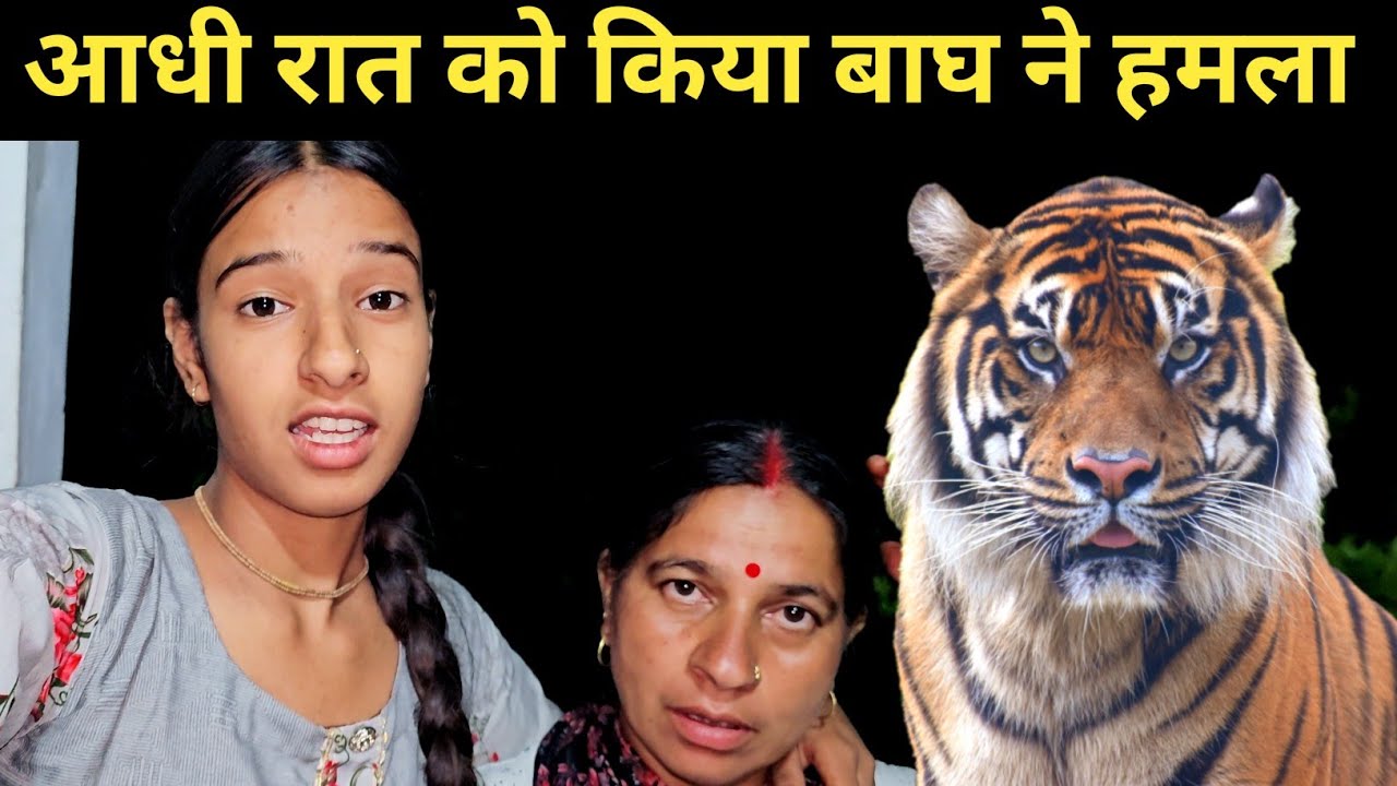 आधी रात को किया बाघ ने हमला 😱 ll मौत से हुआ सामना ll pahadi lifestyle vlog ll 