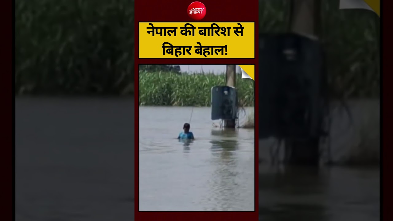 नेपाल की बारिश से बिहार बेहाल! | #BiharFlood #NepalRain #EastChamparan #FloodNews